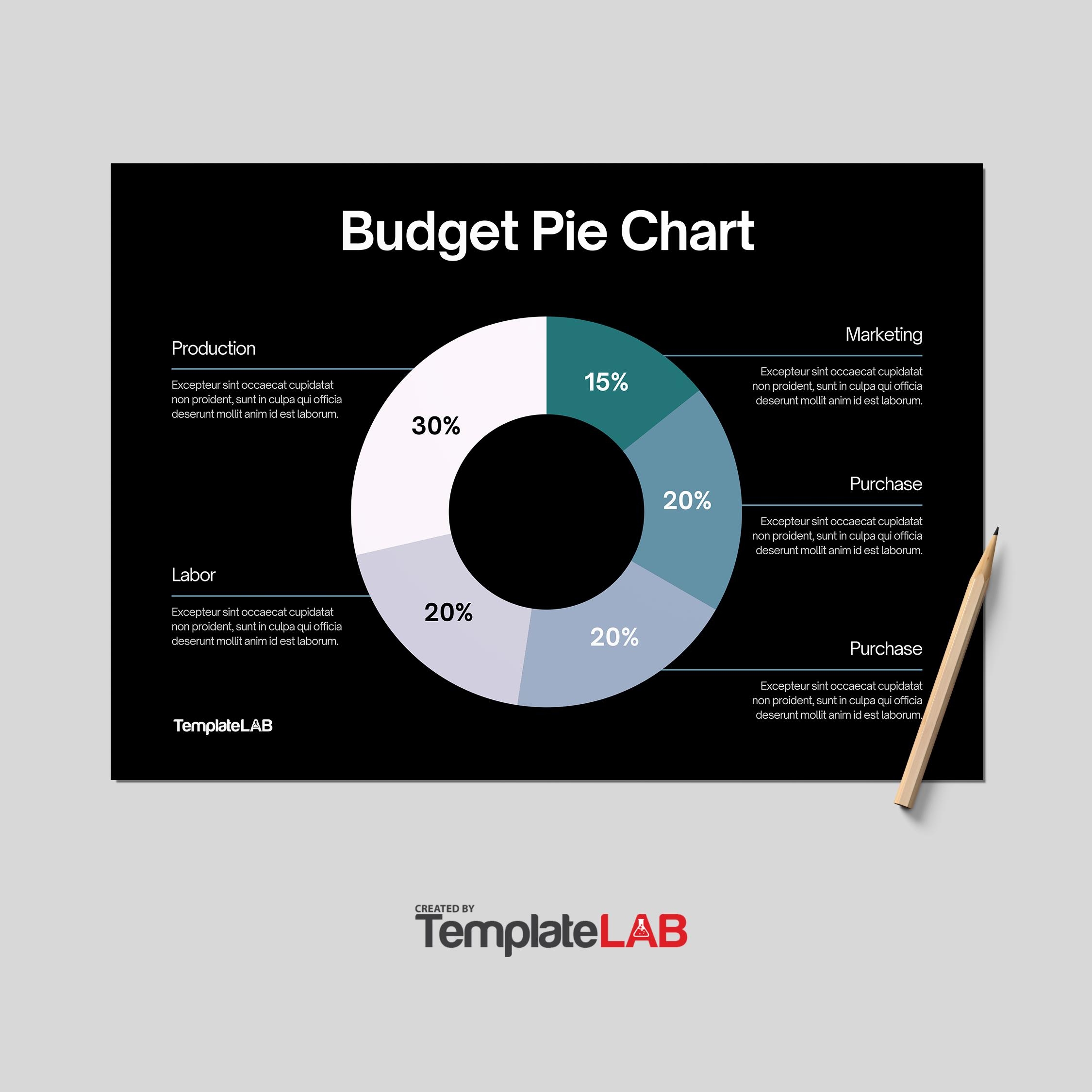 18 Free Pie Chart Templates Word Excel PDF PowerPoint TemplateLab