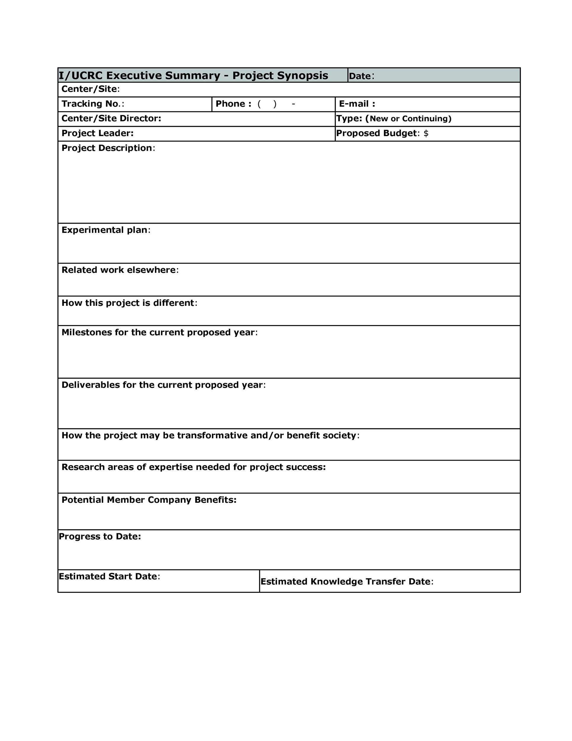 30 Perfect Executive Summary Examples U0026 Templates TemplateLab