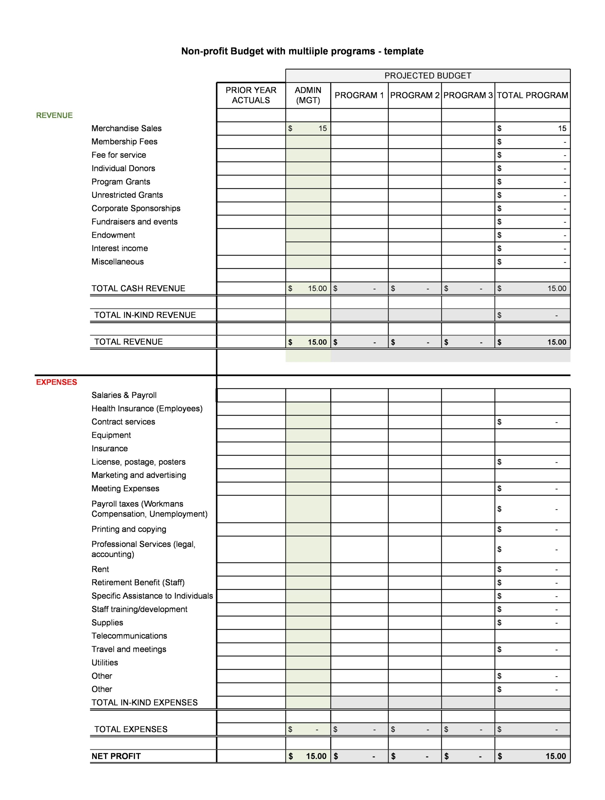501c3 Budget Template