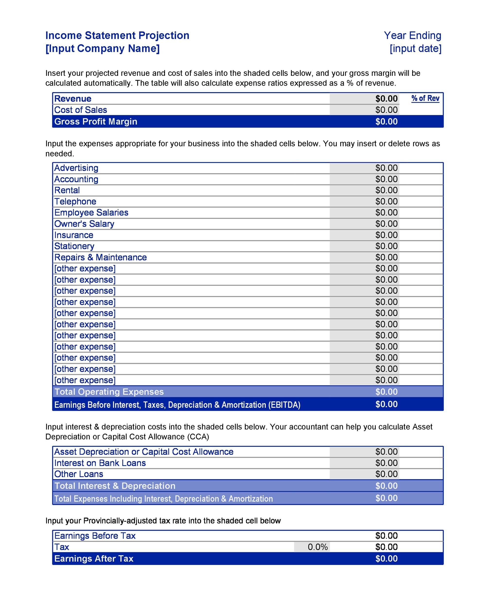 Budget Income Statement Template