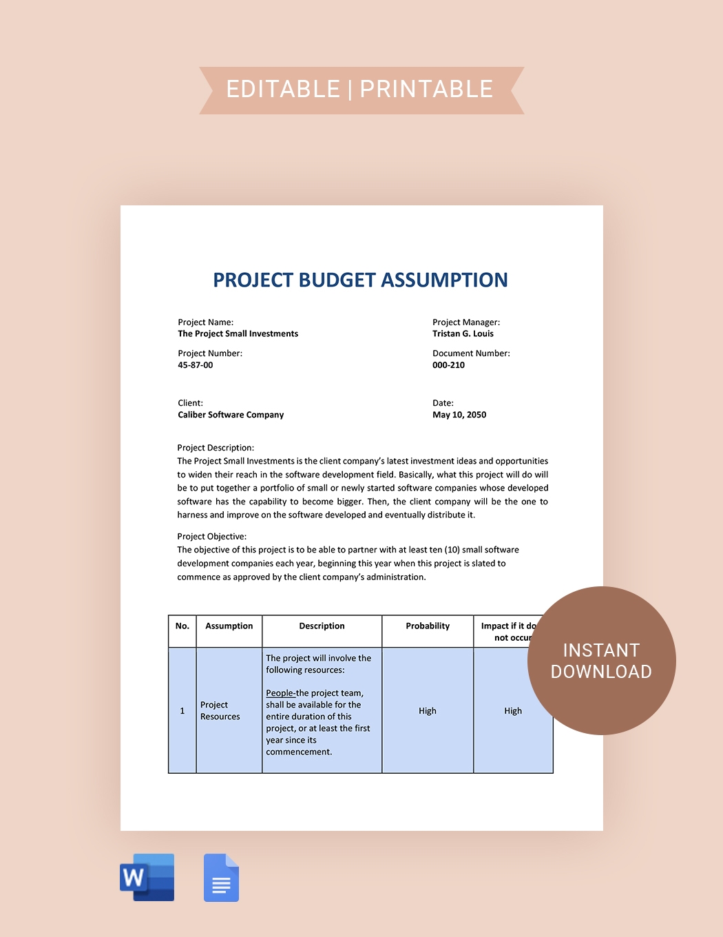 Budget Assumptions Template In Word Google Docs Download 