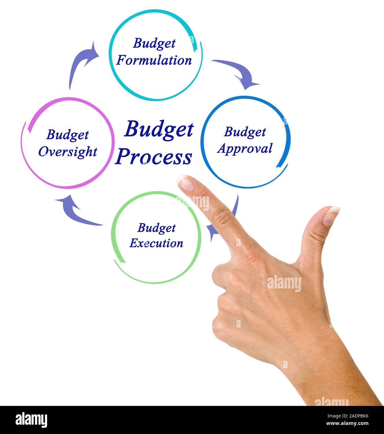 Budget Process Cut Out Stock Images U0026 Pictures Alamy