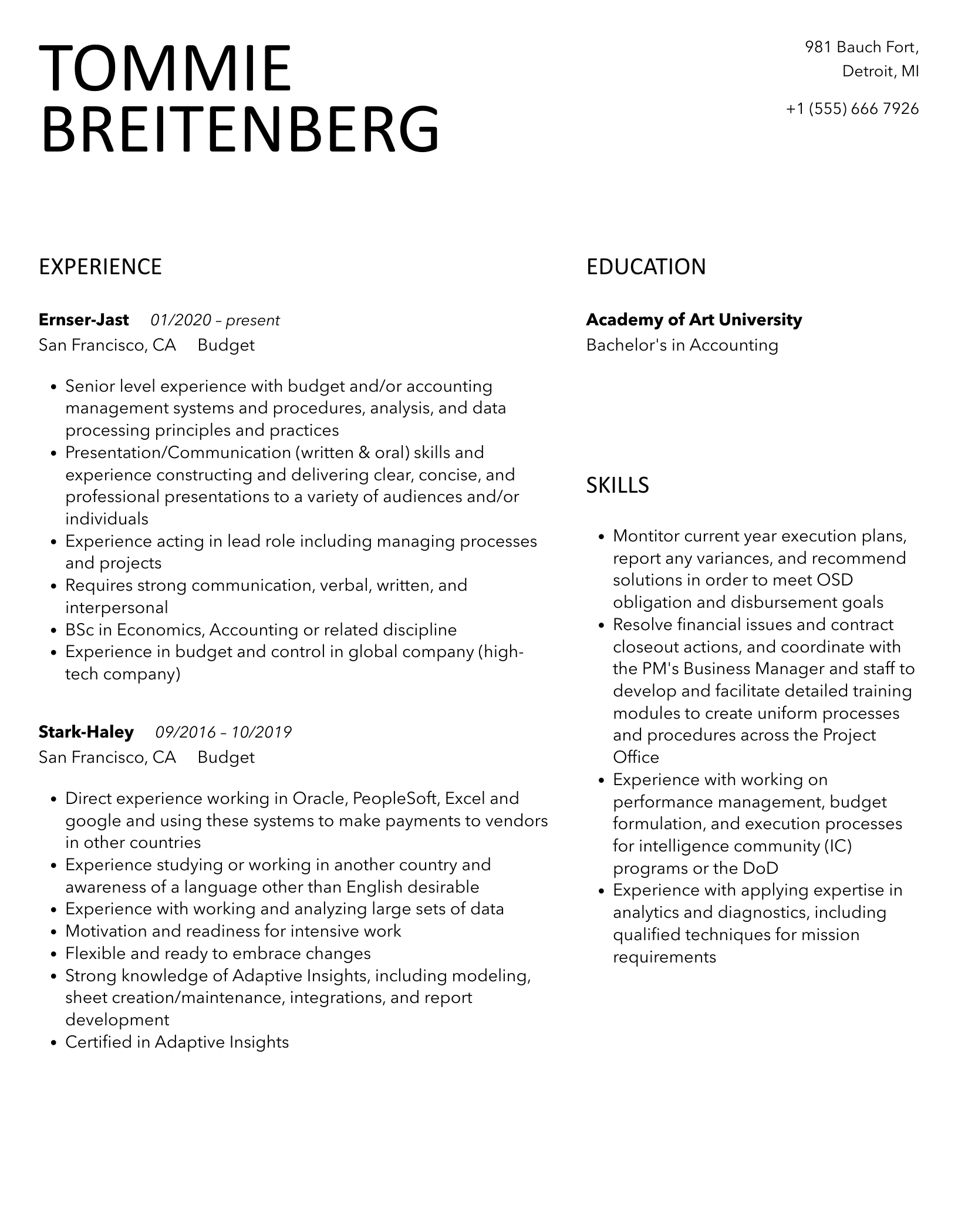 Budget Resume Samples Velvet Jobs Budget Resume Samples Velvet Jobs