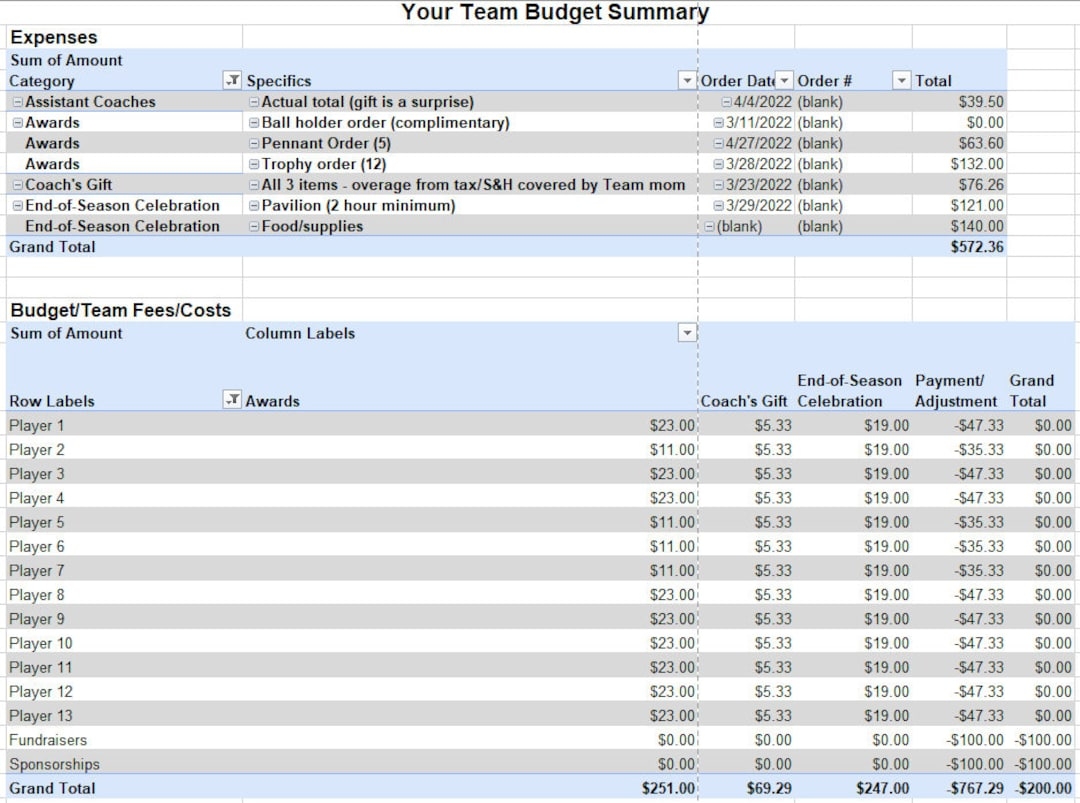 Digital Youth Sports Team Budget Excel Etsy