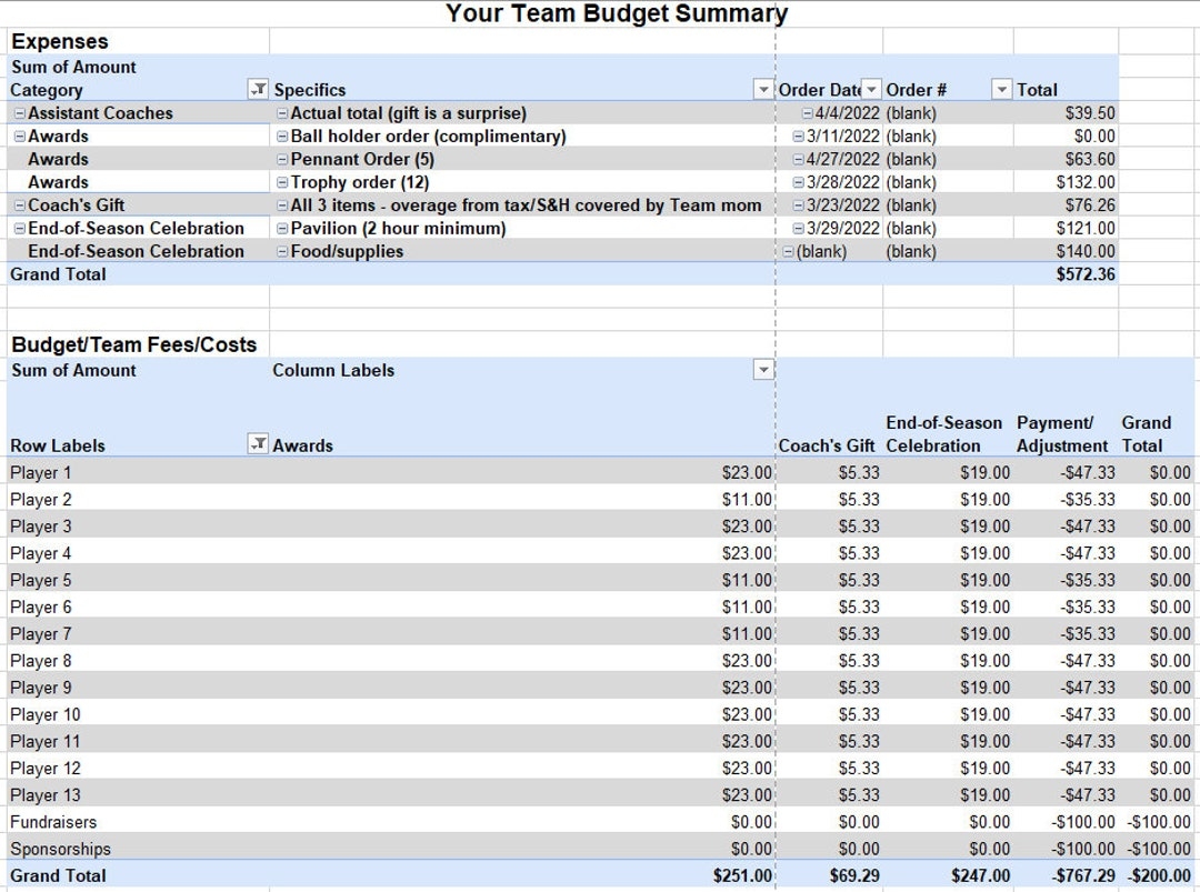 Digital Youth Sports Team Budget Excel Etsy