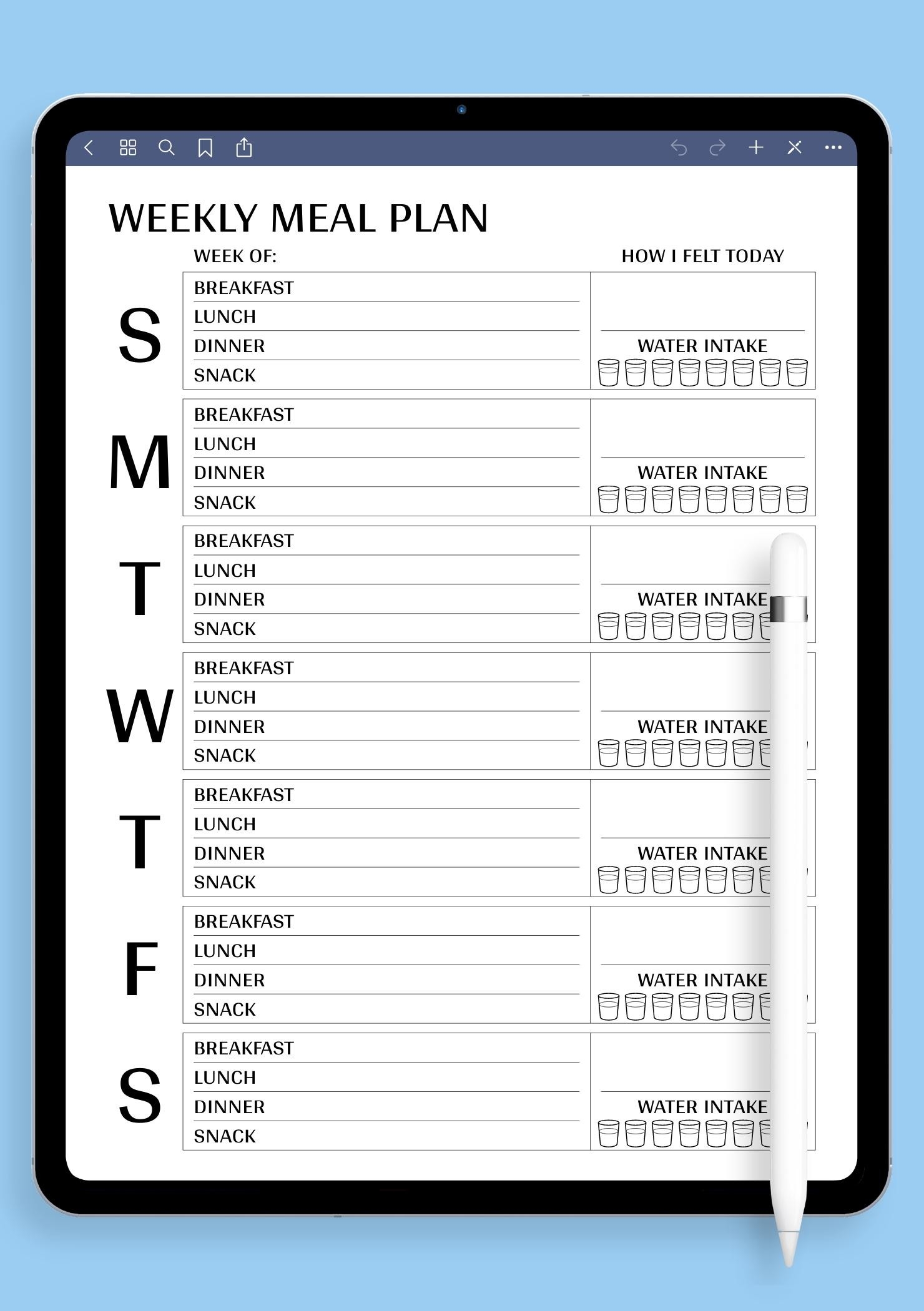 Meal Plan Budget Template Meal Plan Budget Template