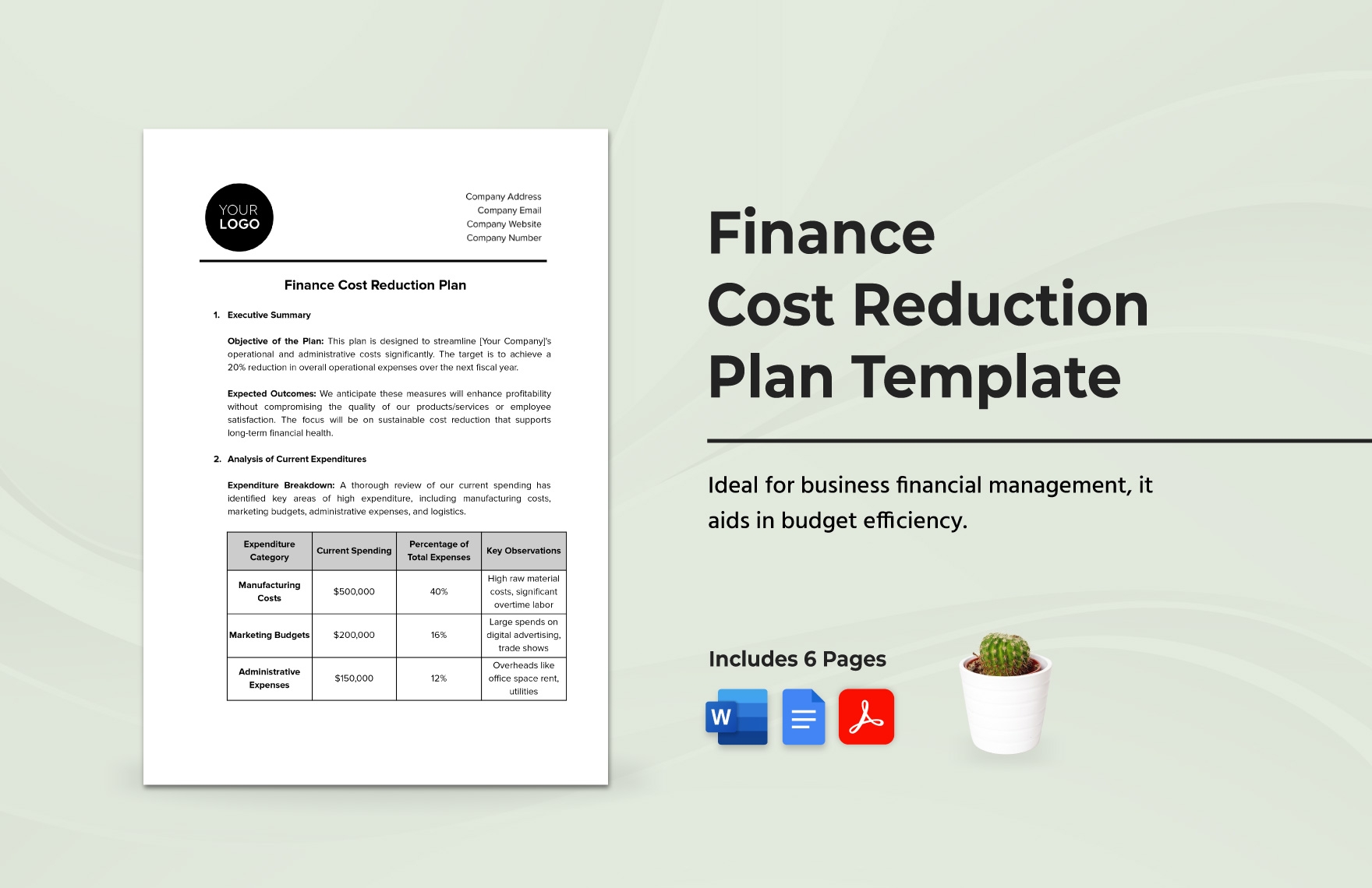Finance Cost Reduction Plan Template In PDF Word Google Docs 