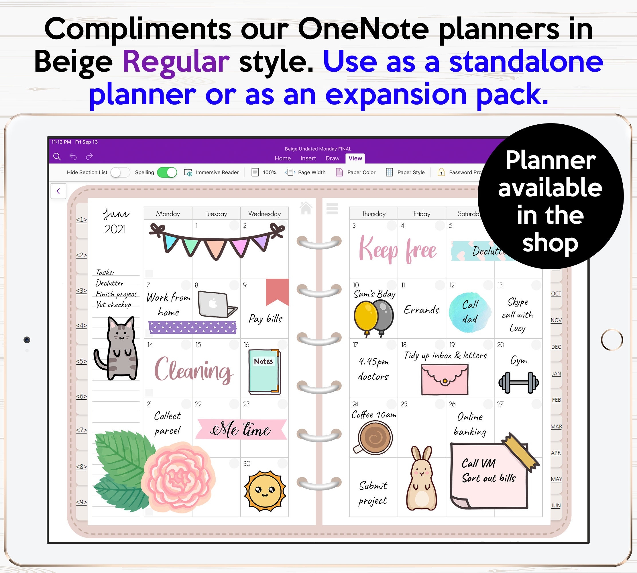 Finances U0026 Budget Onenote Digital Planner Templates Inserts Pack 