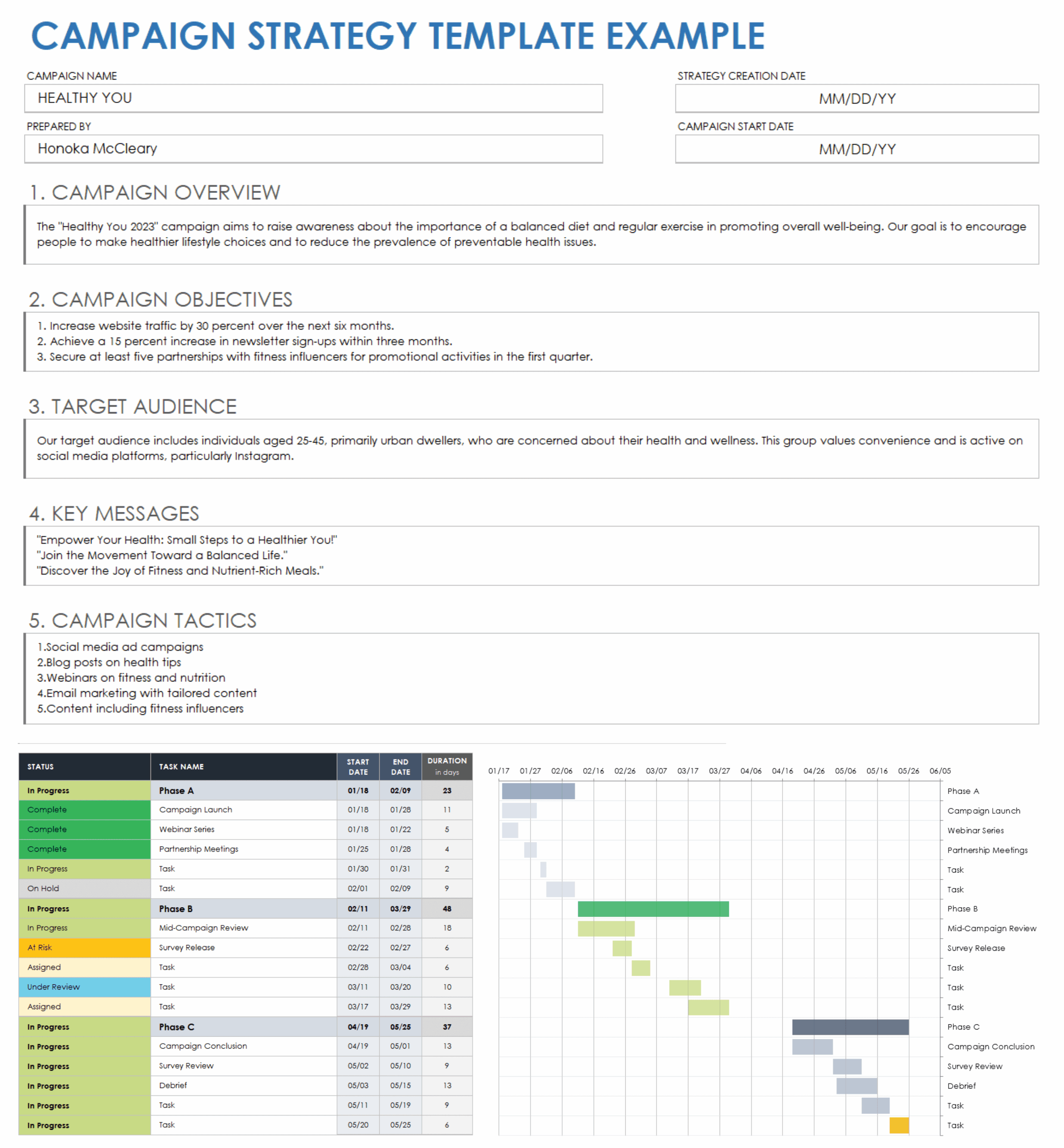 Free Campaign Strategy Templates