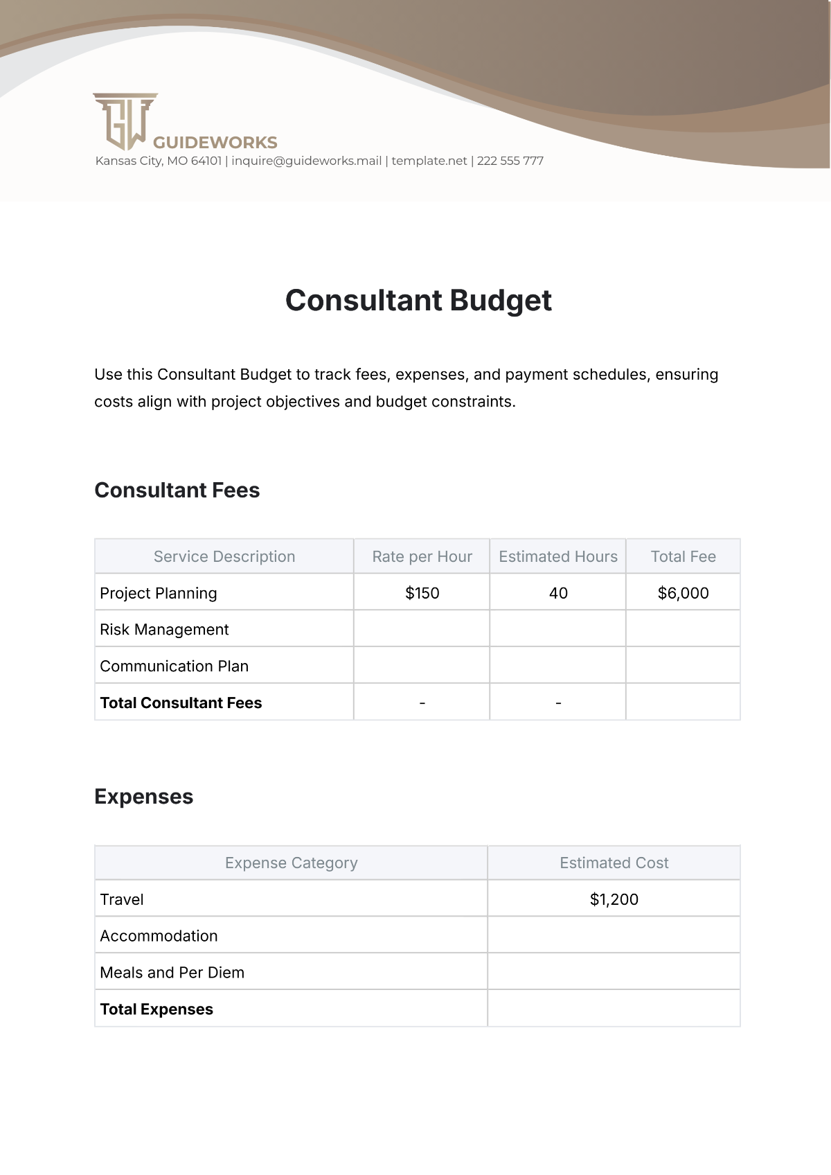 Consultant Budget Template