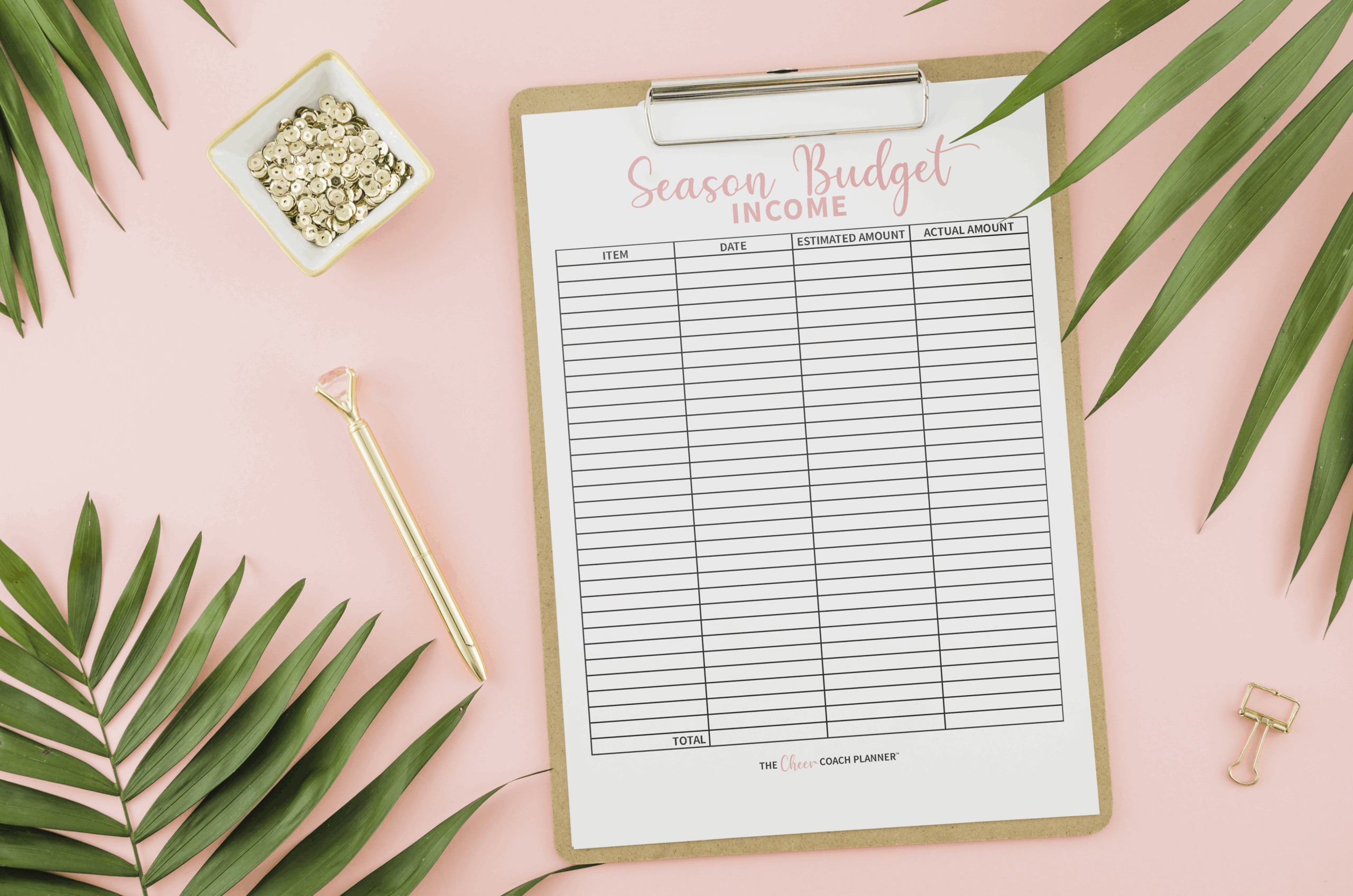 Cheerleading Budget Template