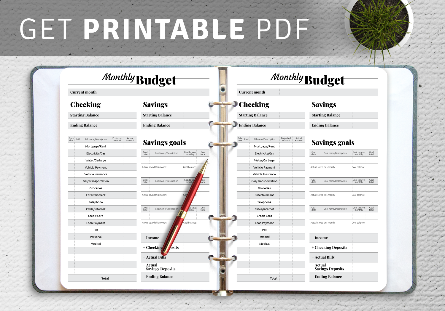 Budget Goal Template