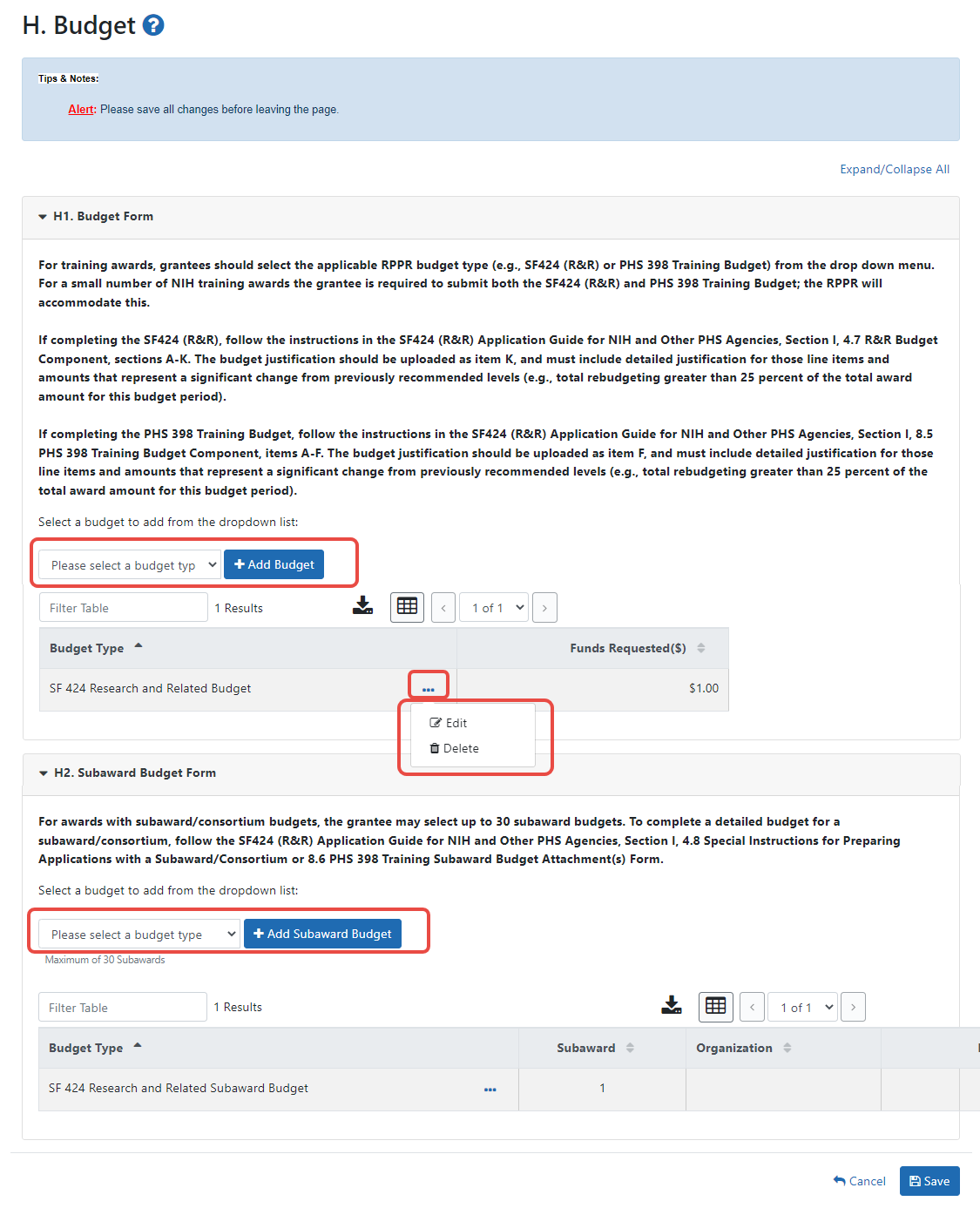 Nih Rr Budget Template