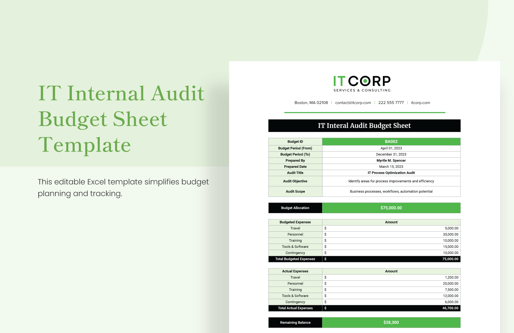 Internal Audit Budget Template