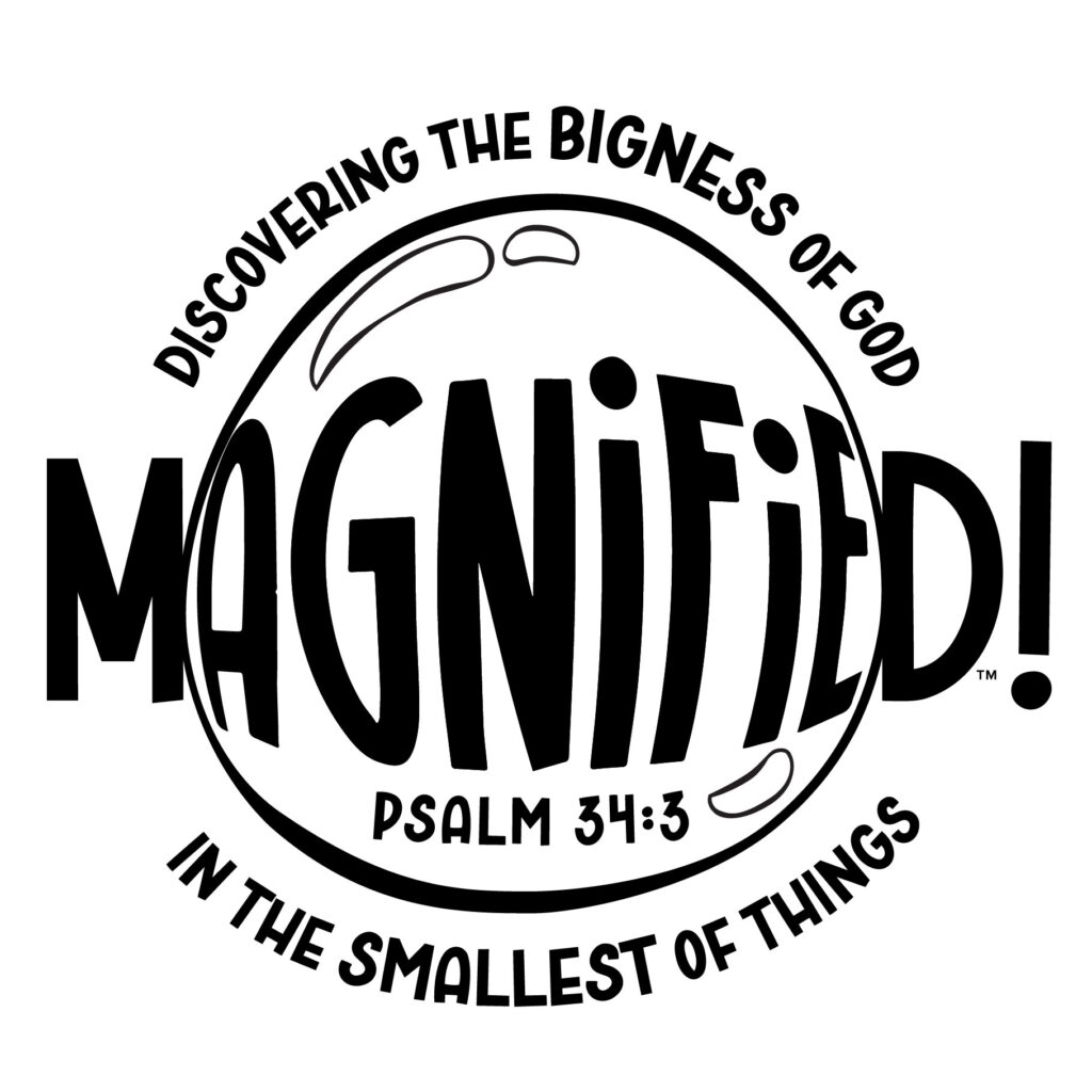 Magnified Resources VBS 2025 Vacation Bible School Lifeway VBS
