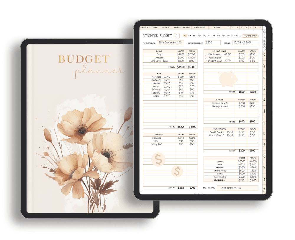 Free Budget Template Goodnotes
