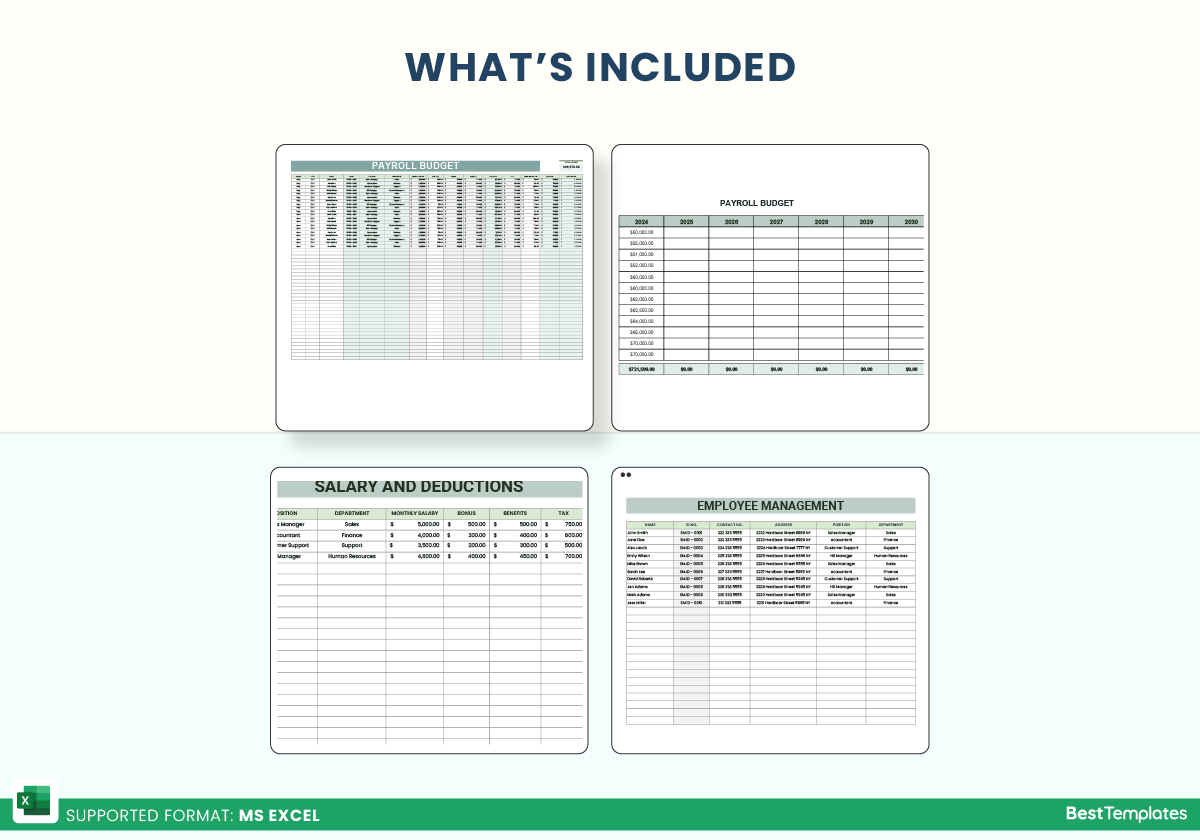 Annual Payroll Budget Template