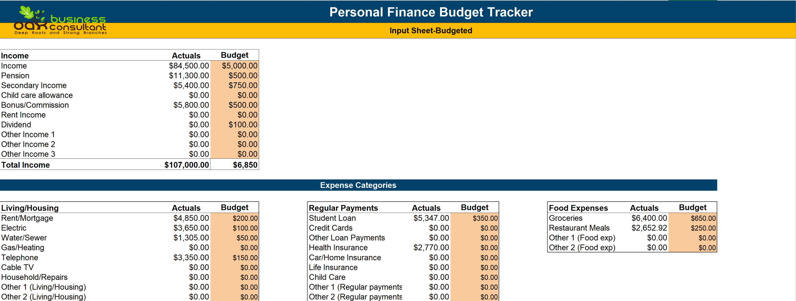 Budget And Transaction Tracking Template