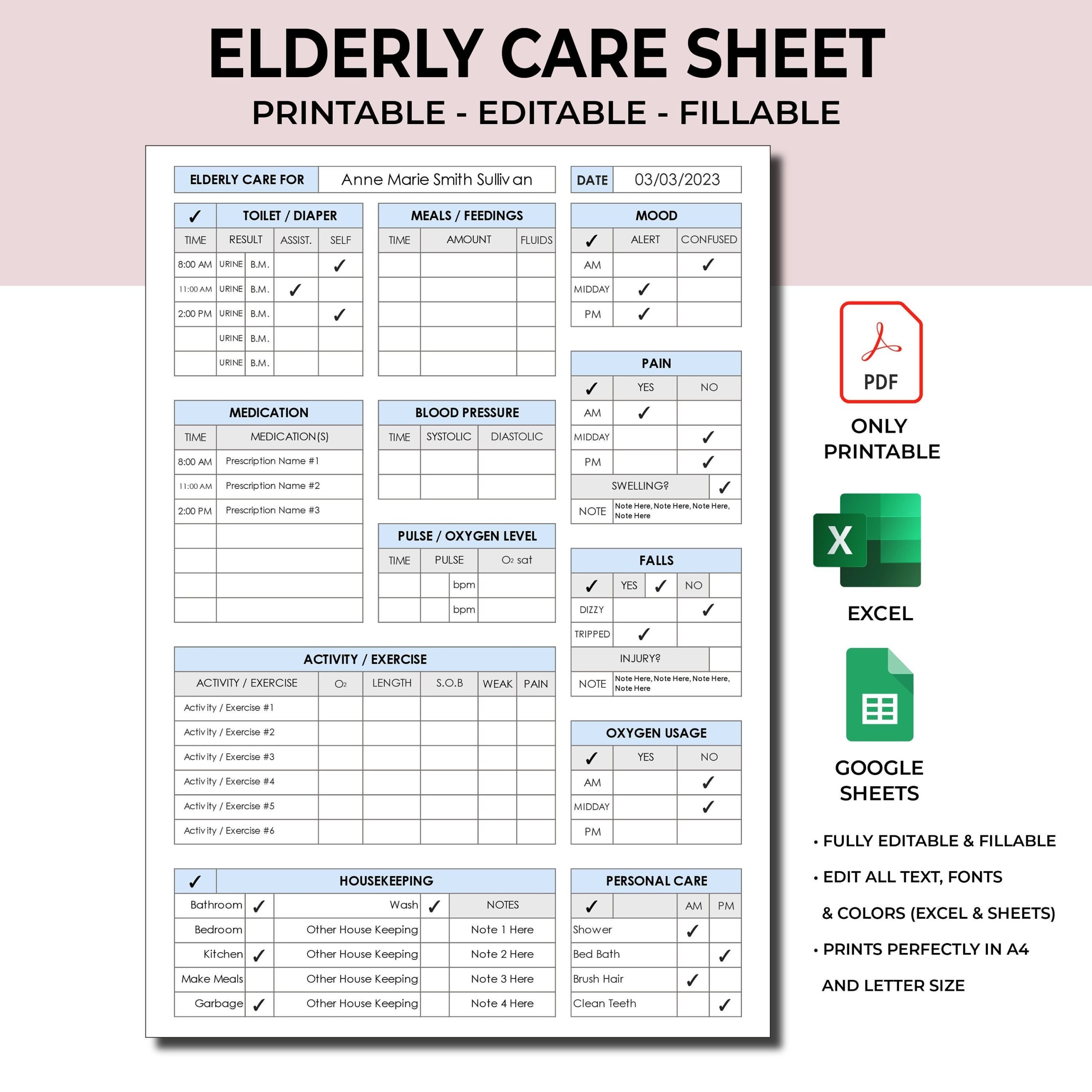 Elderly Budget Template