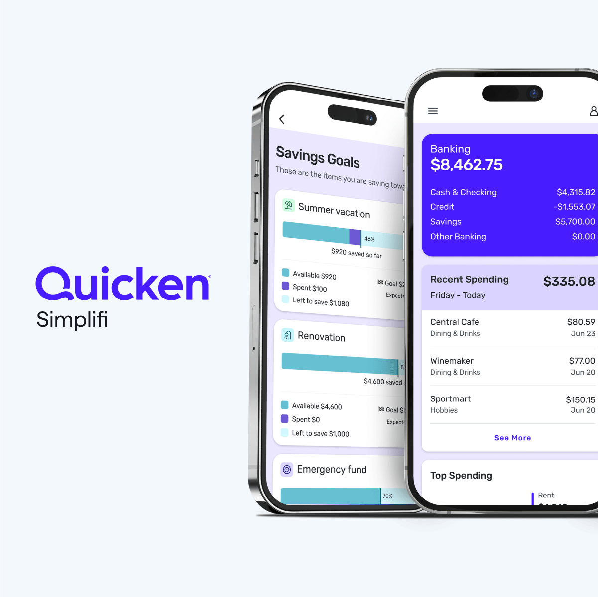 Quicken Budget Template
