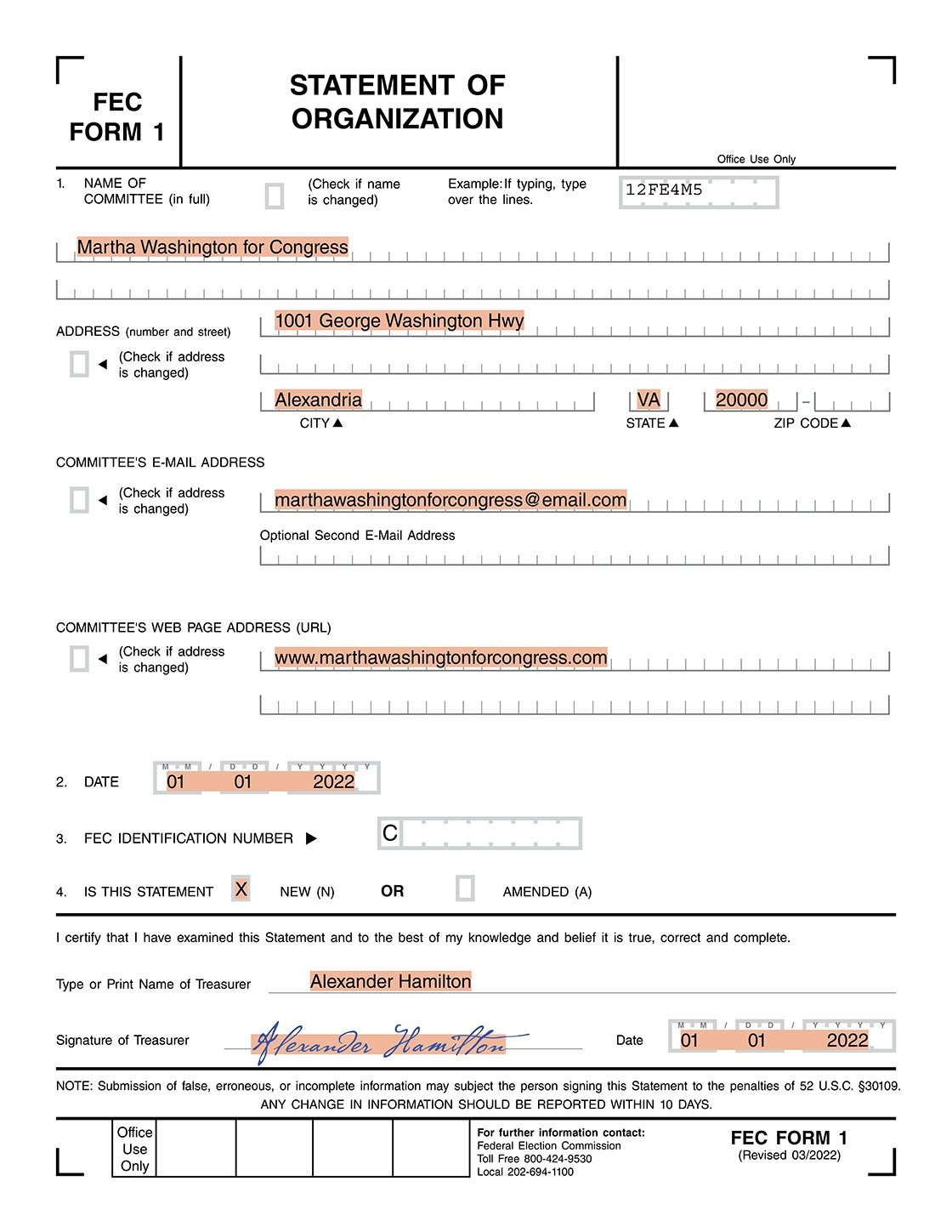 Political Campaign Budget Template
