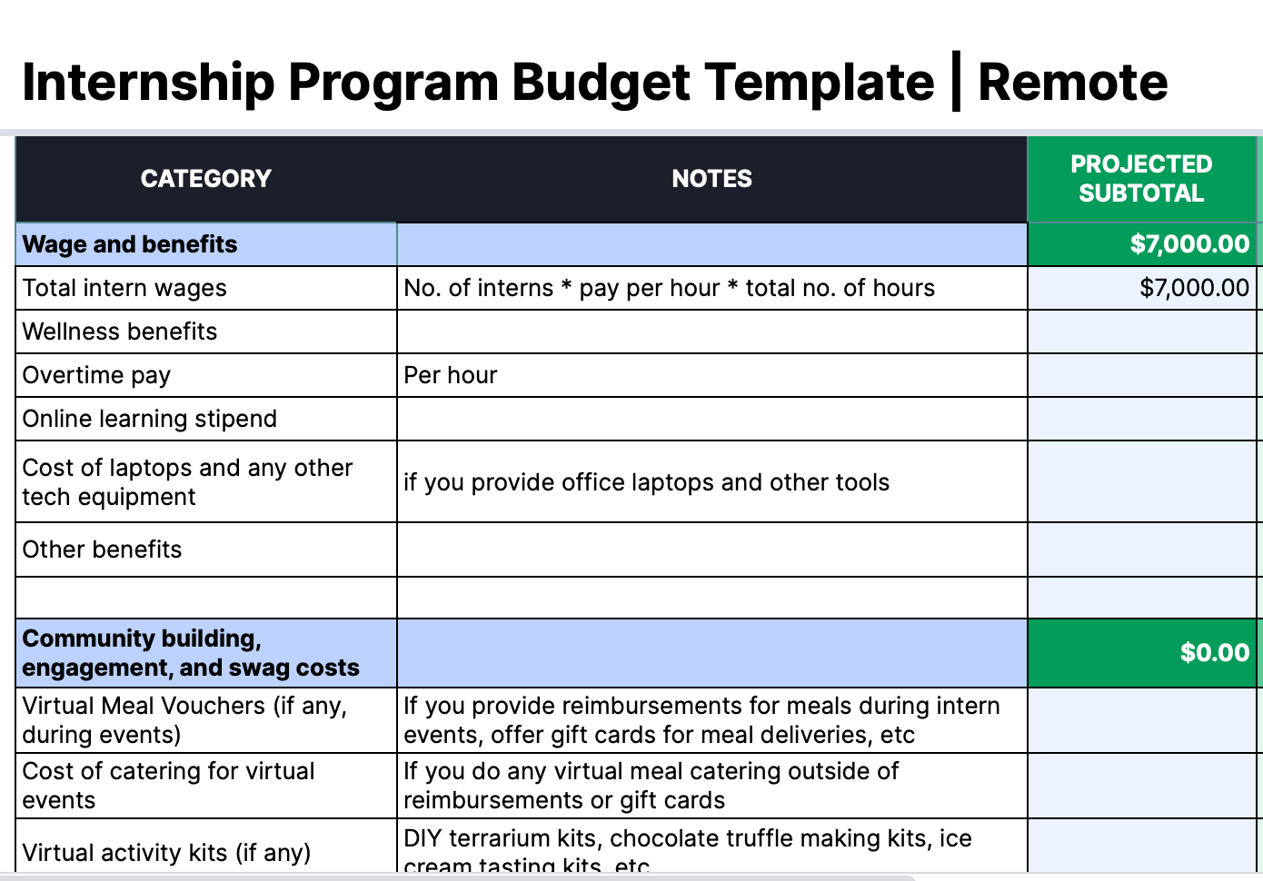 Internship Budget Template