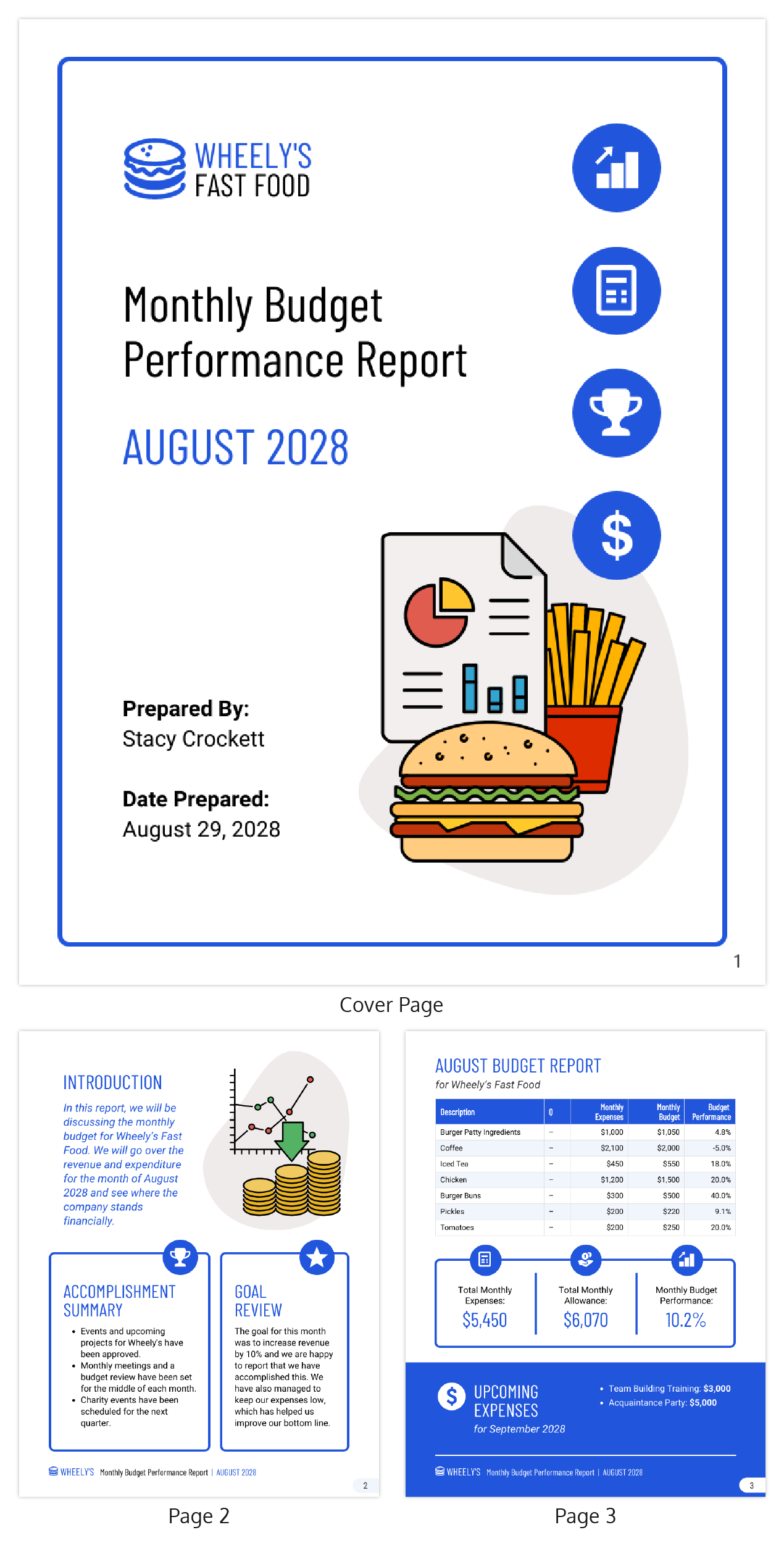 Budget Performance Report Template