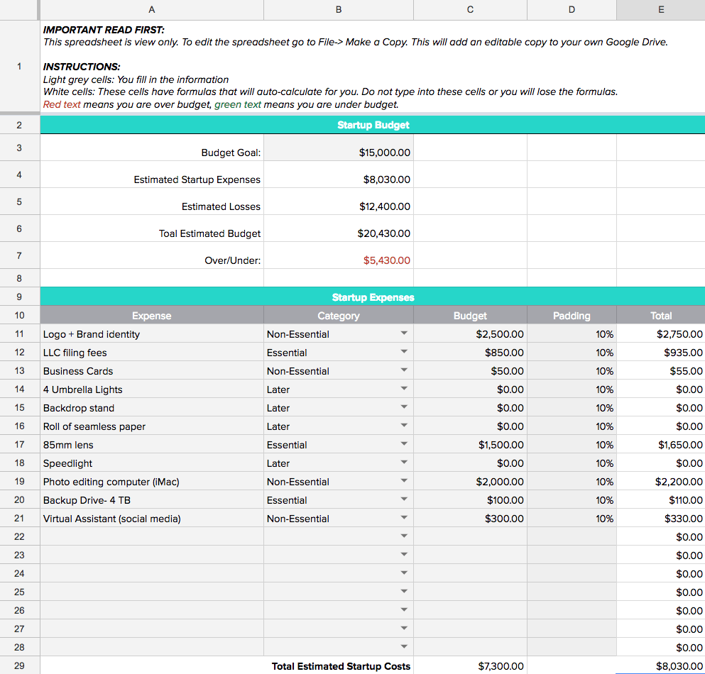 Financial Budget Template For Business