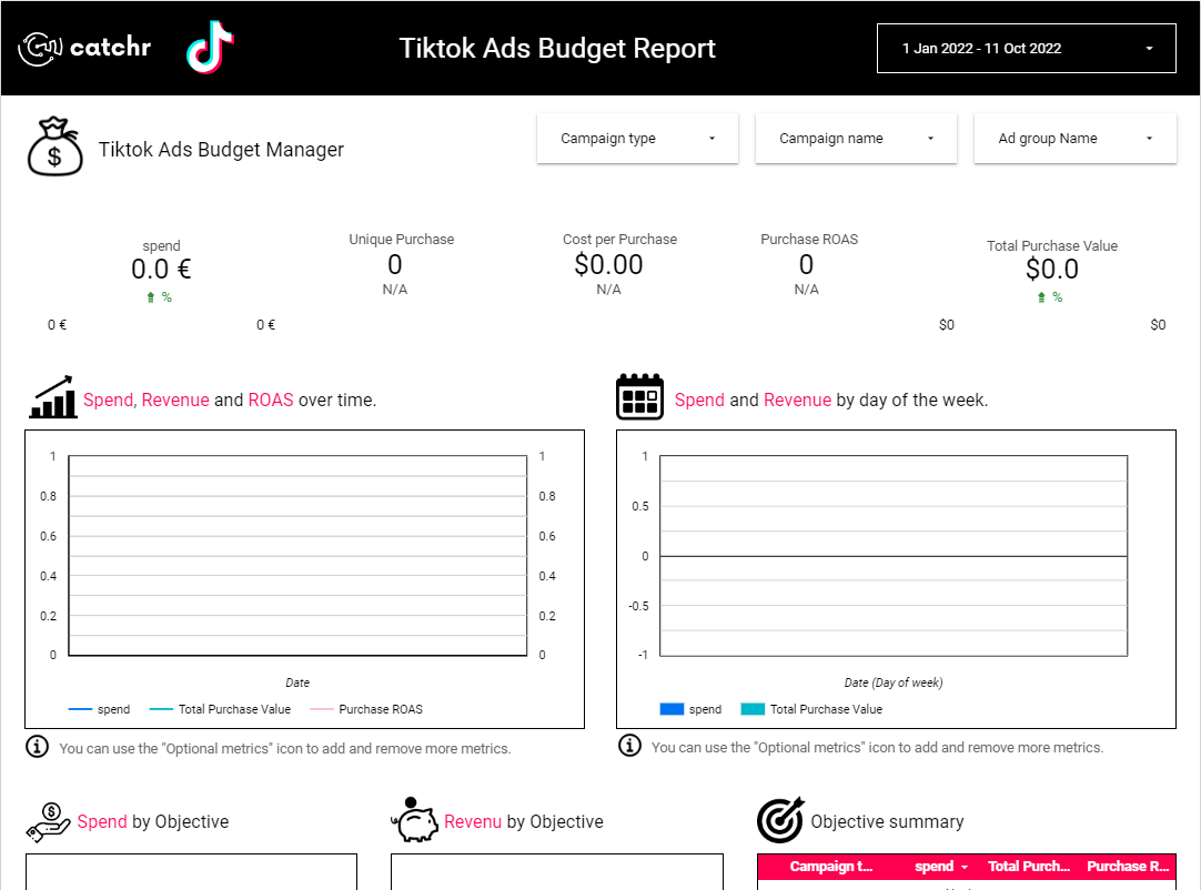 Tiktok Budget Template