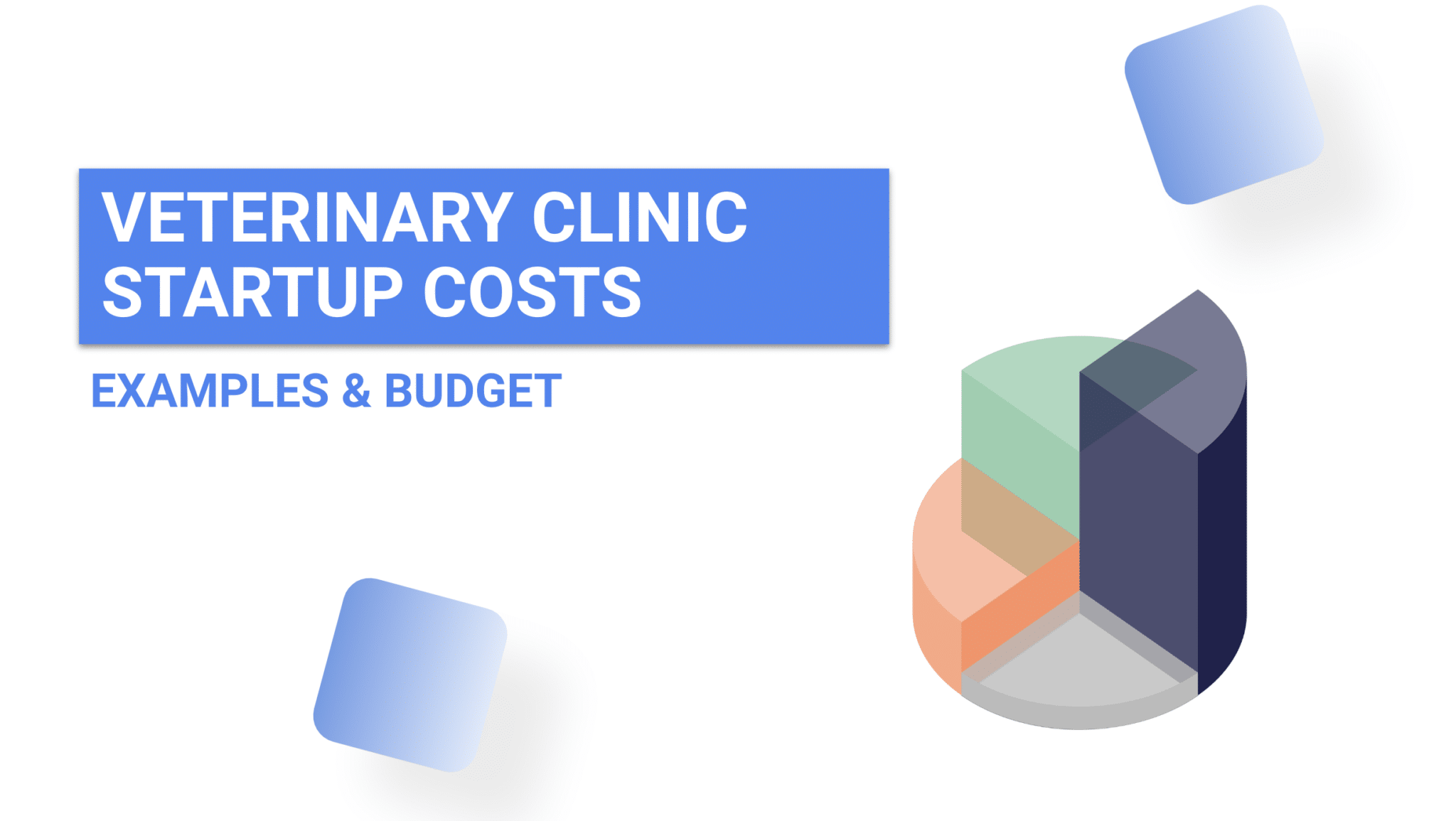 Veterinary Practice Budget Template