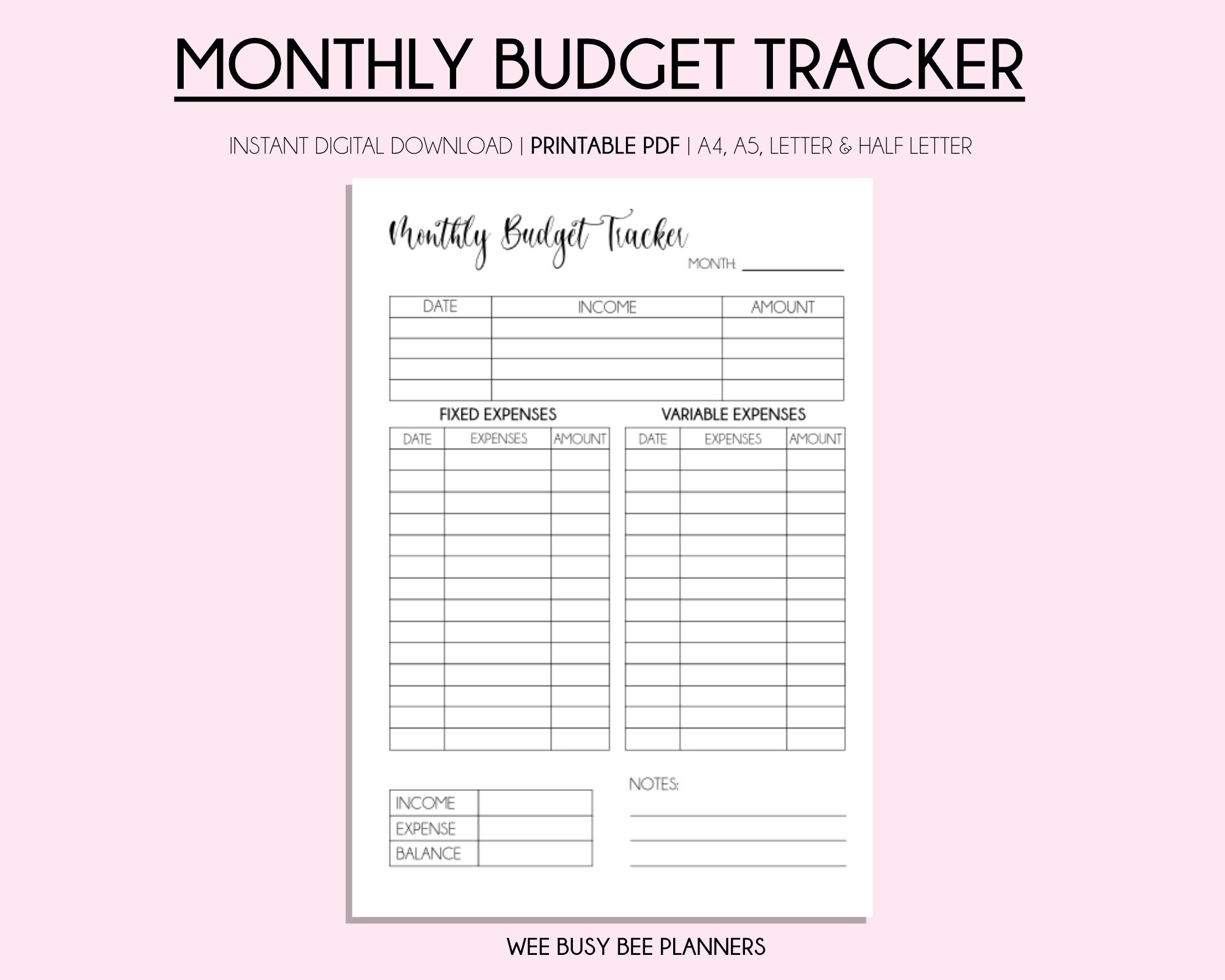 Procreate Budget Template