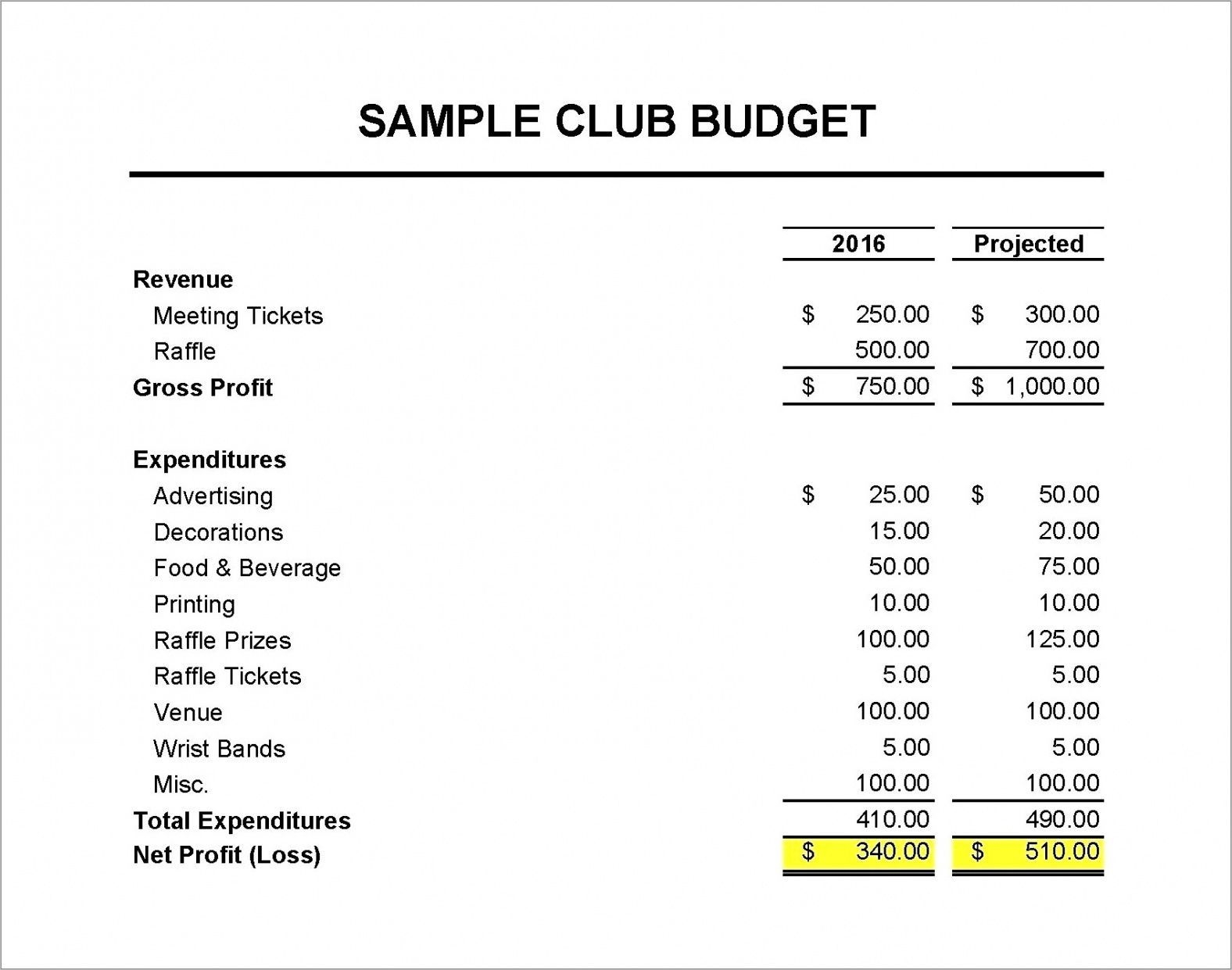 Treasurer Budget Template