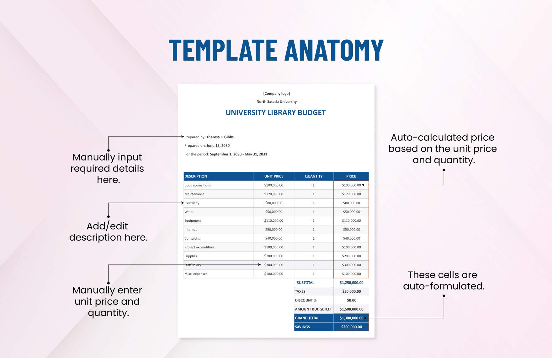 Public Library Budget Template