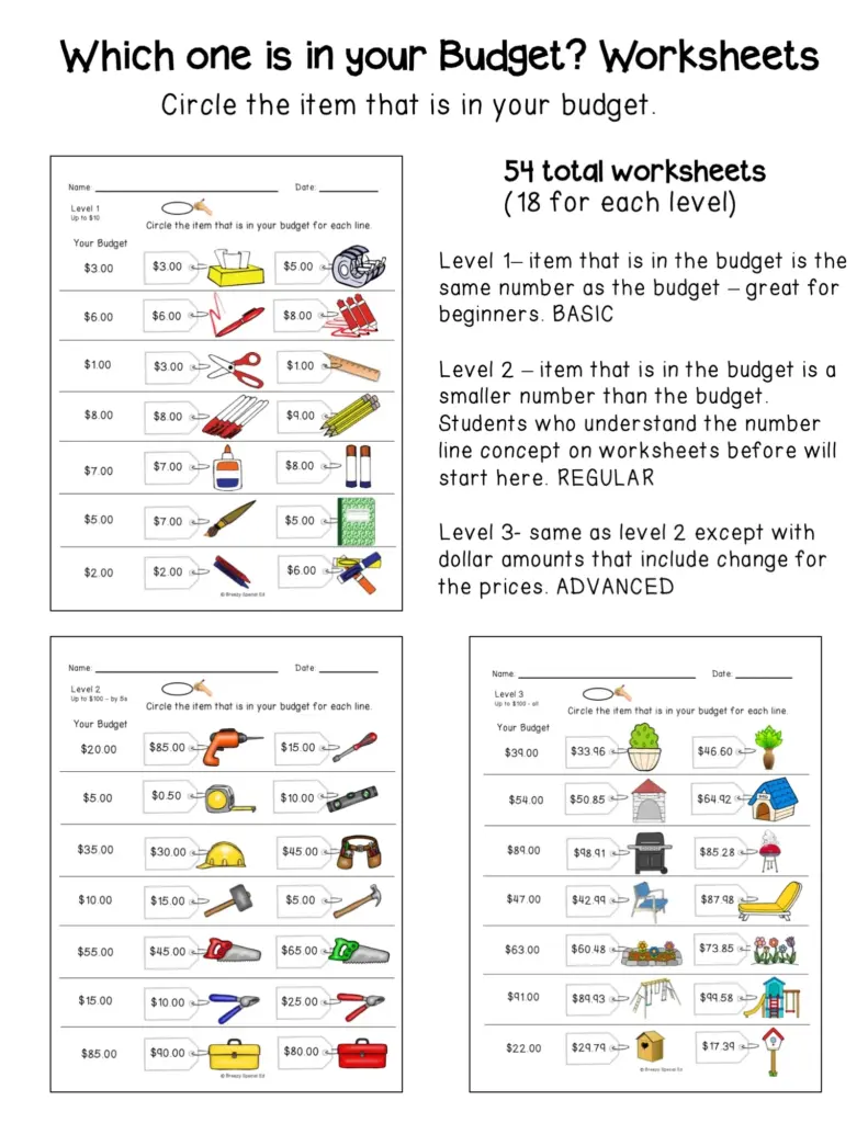 Budgeting Practice Worksheets For Students - Copy Worksheet